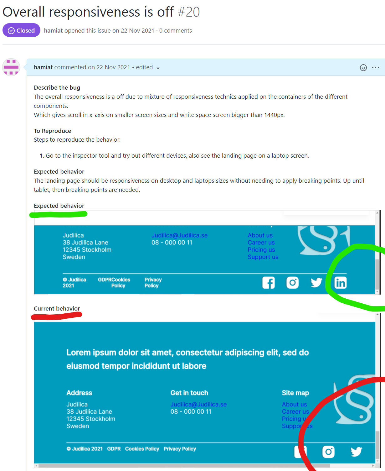 a screenshot of github issue created in github